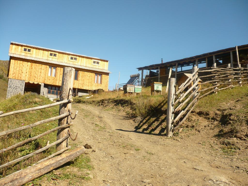 Guesthouse Javakhe Omalo Exterior photo
