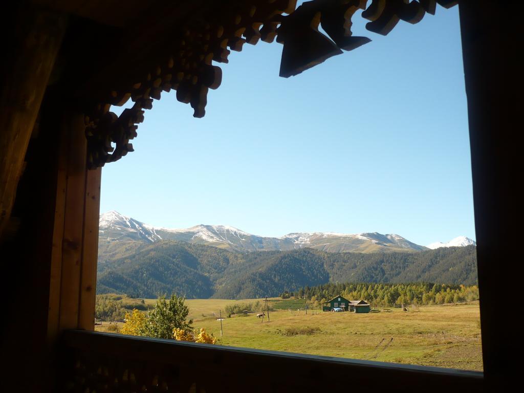 Guesthouse Javakhe Omalo Room photo