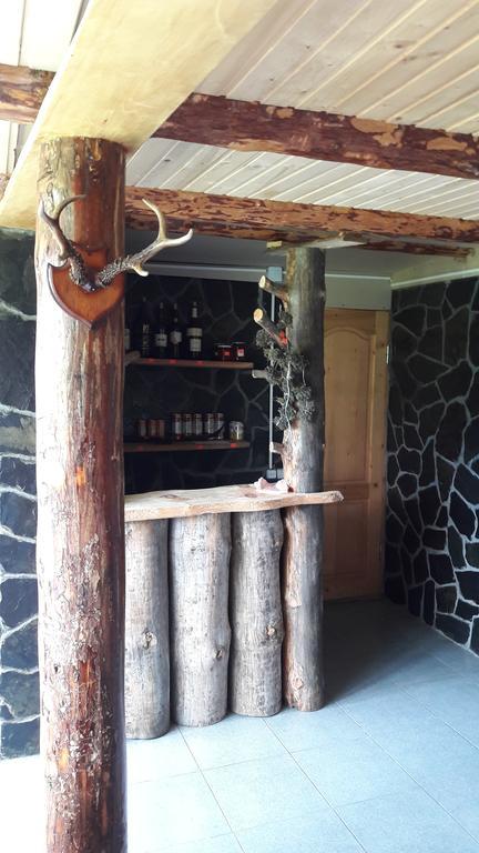 Guesthouse Javakhe Omalo Exterior photo